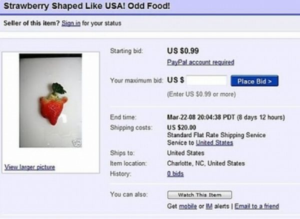 Funny eBay Auctions